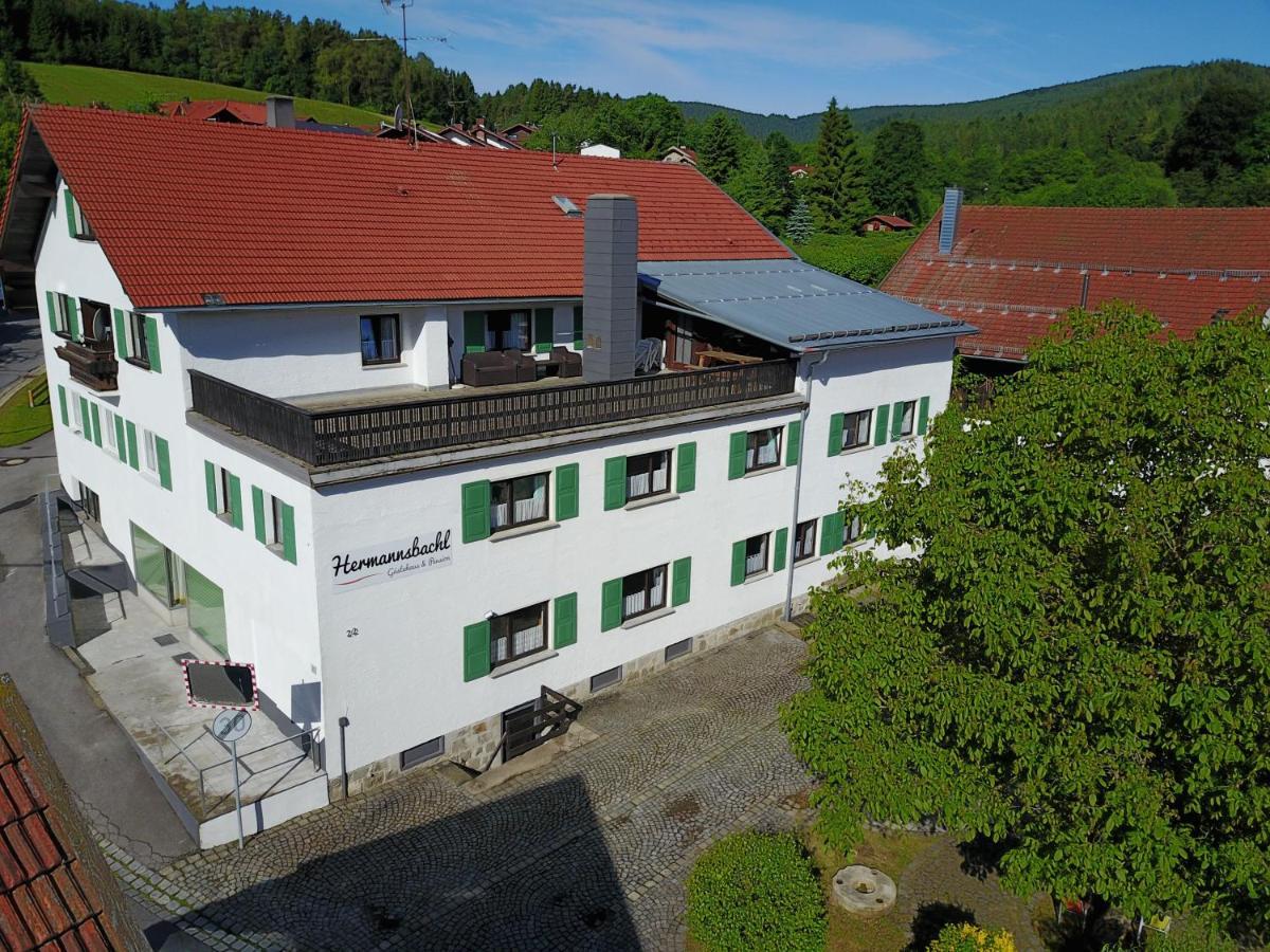 Am Hermannsbachl Bischofsmais Exterior foto